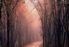 开云体育中国-豪取连胜！巴萨雄心勃勃，豪取胜利