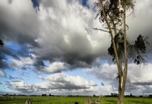 开云官网-利物浦球员训练强度加大，力求最佳竞技状态