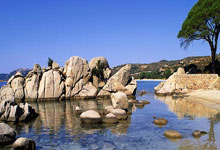 开云体育官网-西悉尼流浪者主帅强调比赛节奏，冲击世俱杯冠军信心足