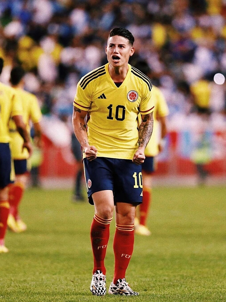 关于全球球星集结南非,狂欢体育盛事的信息 关于全球球星集结南非,狂欢体育盛事的信息