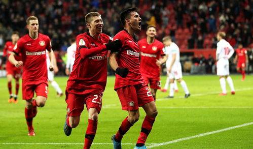 世界杯重磅对决：凯尔特人迎战拜仁，关键一战的简单介绍