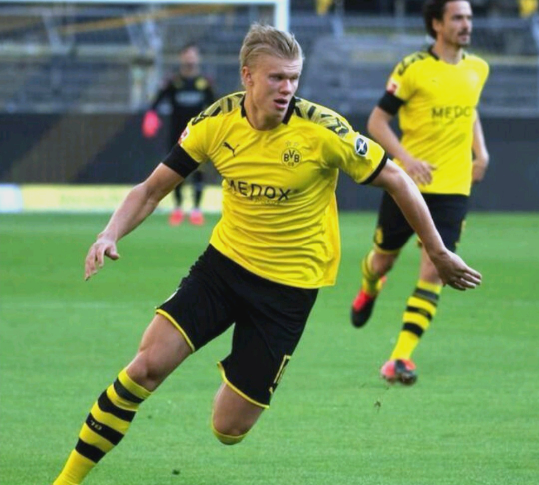 开云体育入口-包含最新德甲：AC米兰淘汰哈兰德，表现神勇的词条