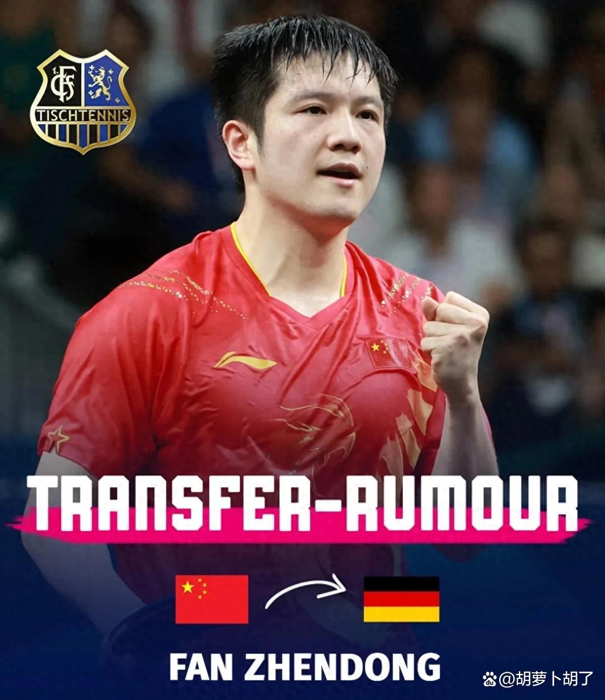 开云APP-德国队力克波兰队,樊振东扛起全队