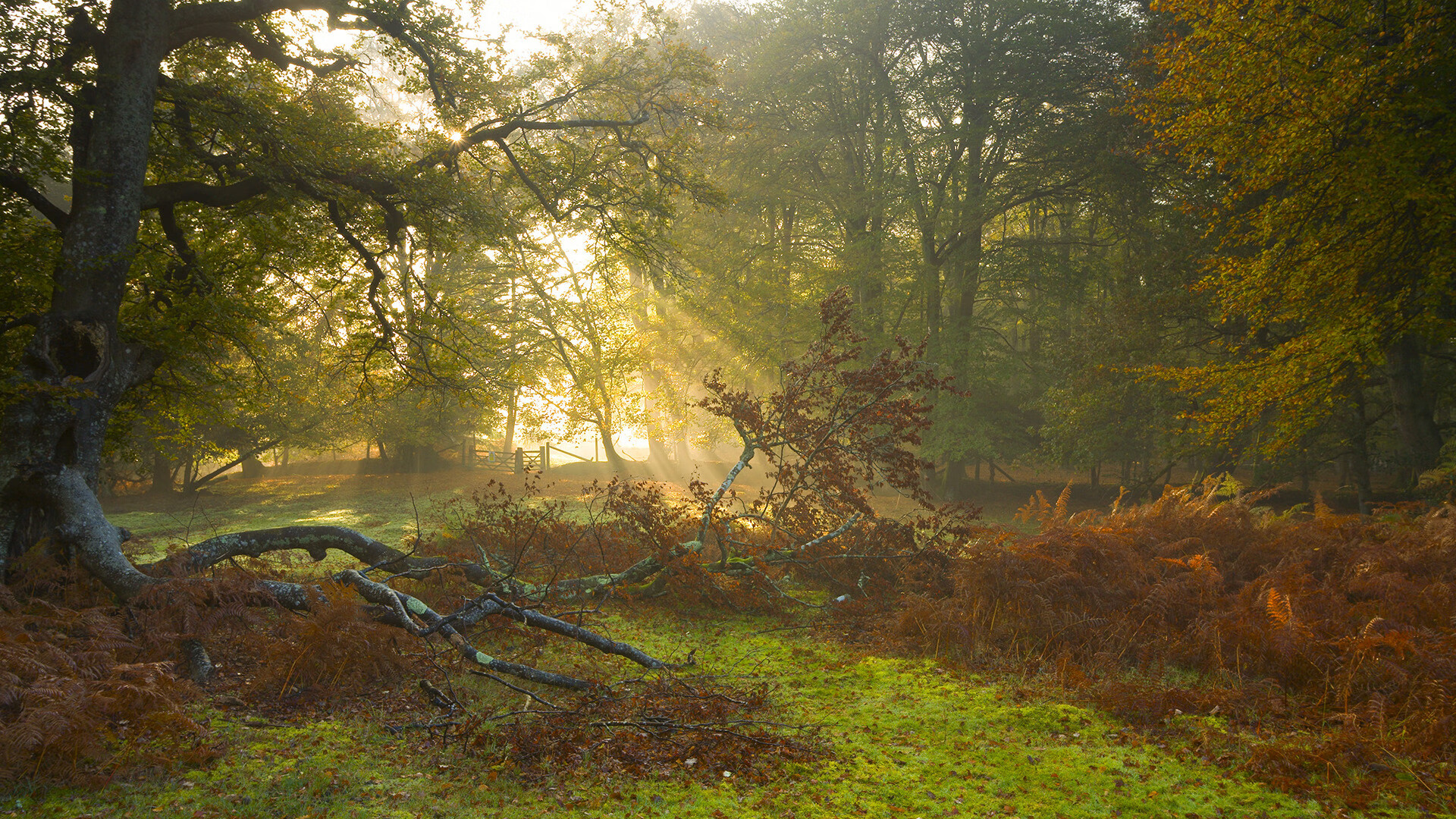 布伦森双响弑旧主！意甲焦点战之夜，他从旧梦废墟中走来