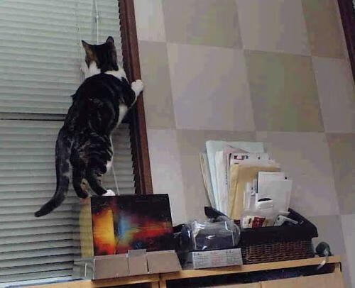 开云体育平台APP-小贾伦40+如入无人之境，马刺偏偏用团队刀刃破解了森林狼的铜墙铁壁