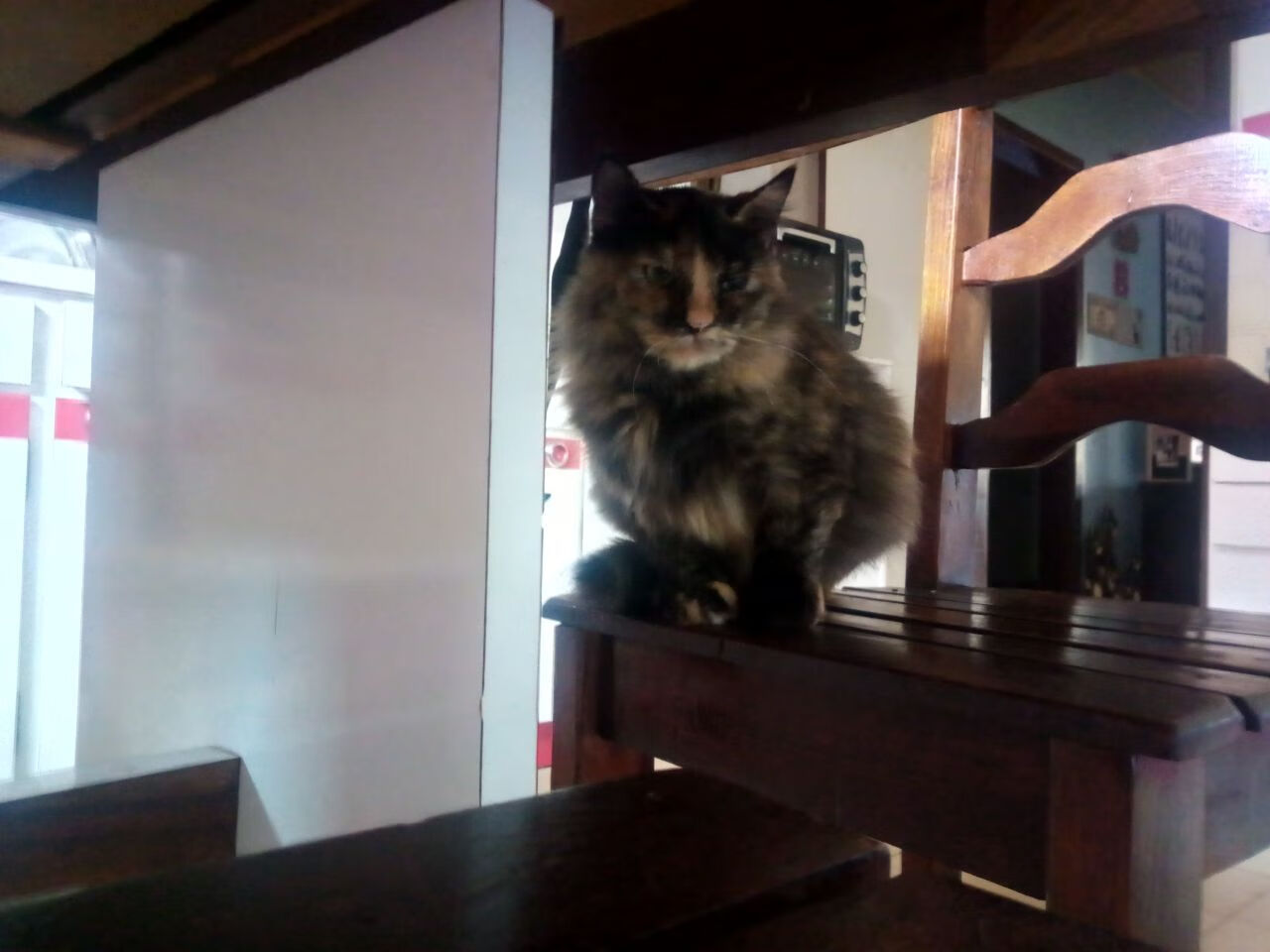 F1新赛季揭幕战,巴林上演罗马军团式击溃,红银对决暗藏玄机