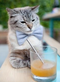 不在聚光灯下,当山西血脉与奥运心跳同频共振