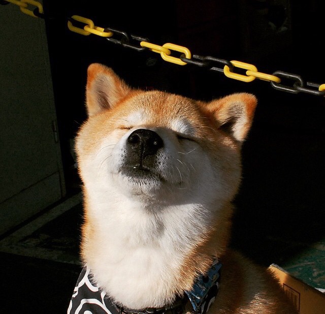 救赎之夜,拉文用嗜血绝杀叩响巴黎大门