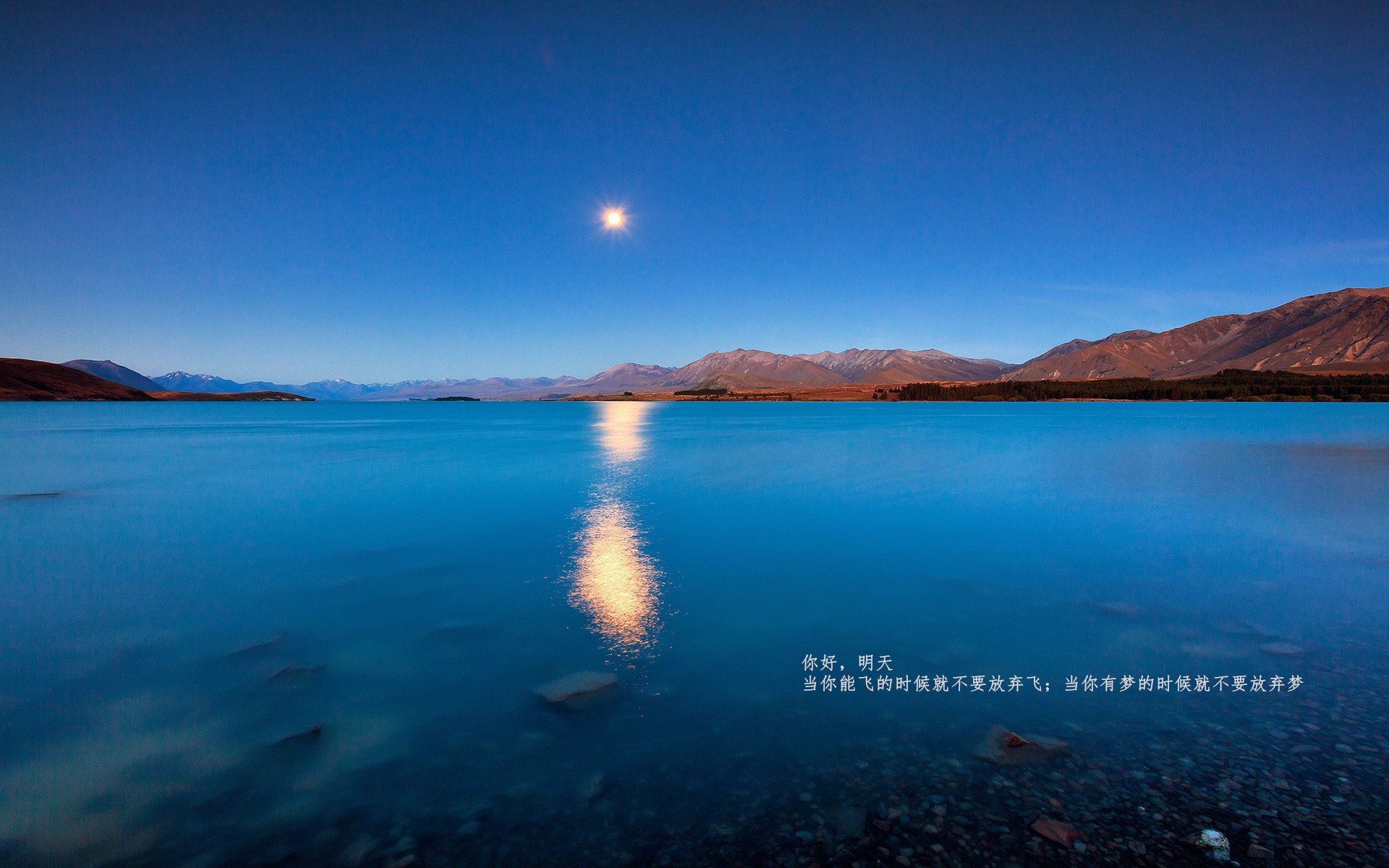 开云体育官方网站-数据爆炸！迪巴拉独造三球导演意甲焦点战狂飙