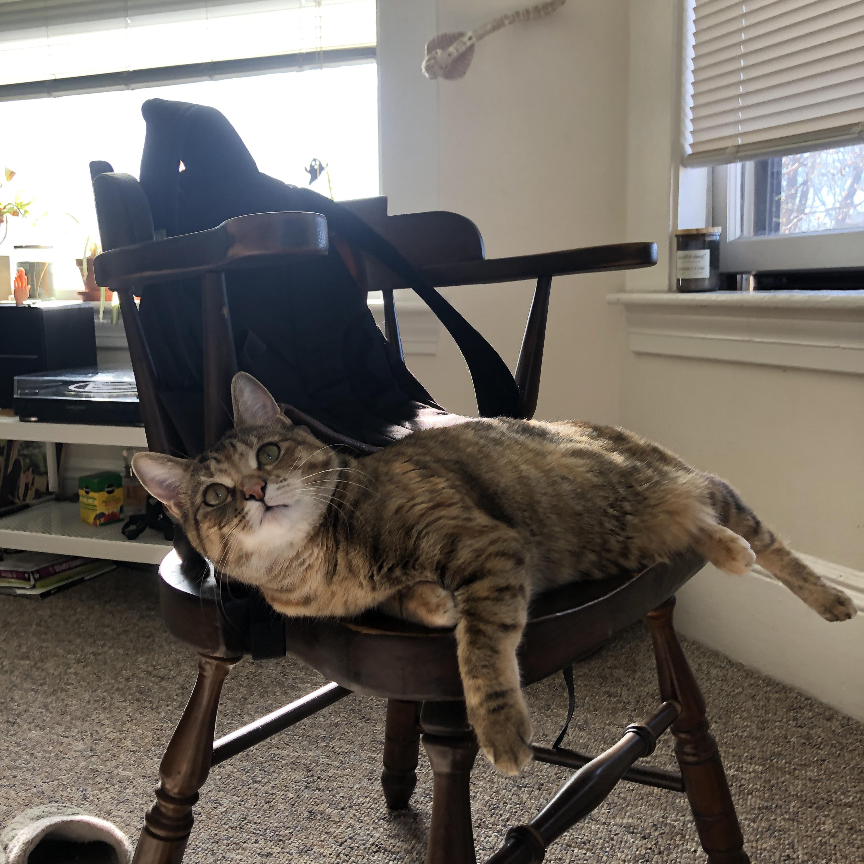 加勒比闪电击溃地中海堡垒,马丁内利冠军级表现引领牙勒友谊赛风云