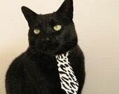 日耀与夜火，当广东队带走太阳，米切尔在德甲点燃黑夜