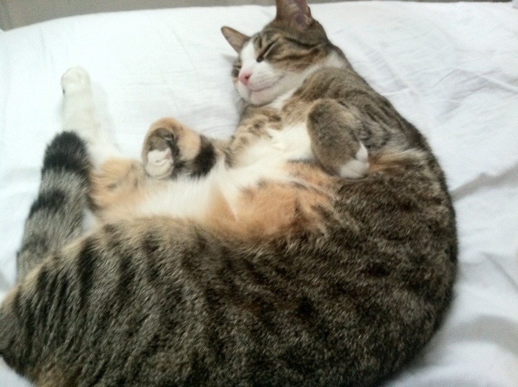 F1街道赛之夜,德罗赞关键进球定乾坤