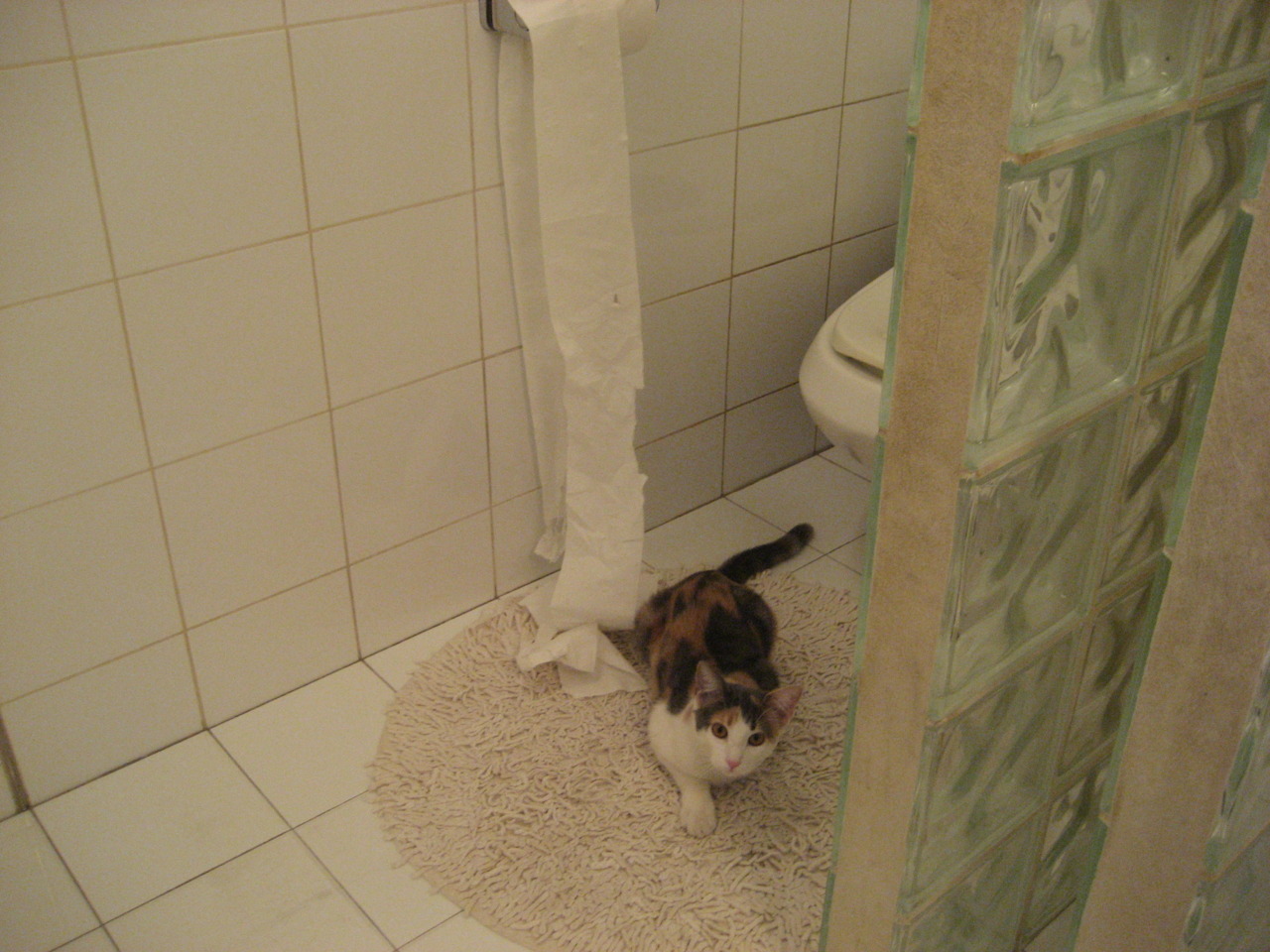 开云体育官方网站-美国资本席卷欧冠，帕尔默半决赛踏平国际米兰，主宰绿茵风云