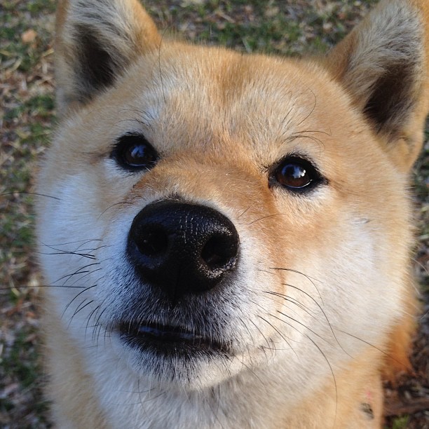开云体育入口-黄喜灿闪耀万达大都会，一粒进球打穿马竞铁壁，亚洲力量改写欧冠叙事