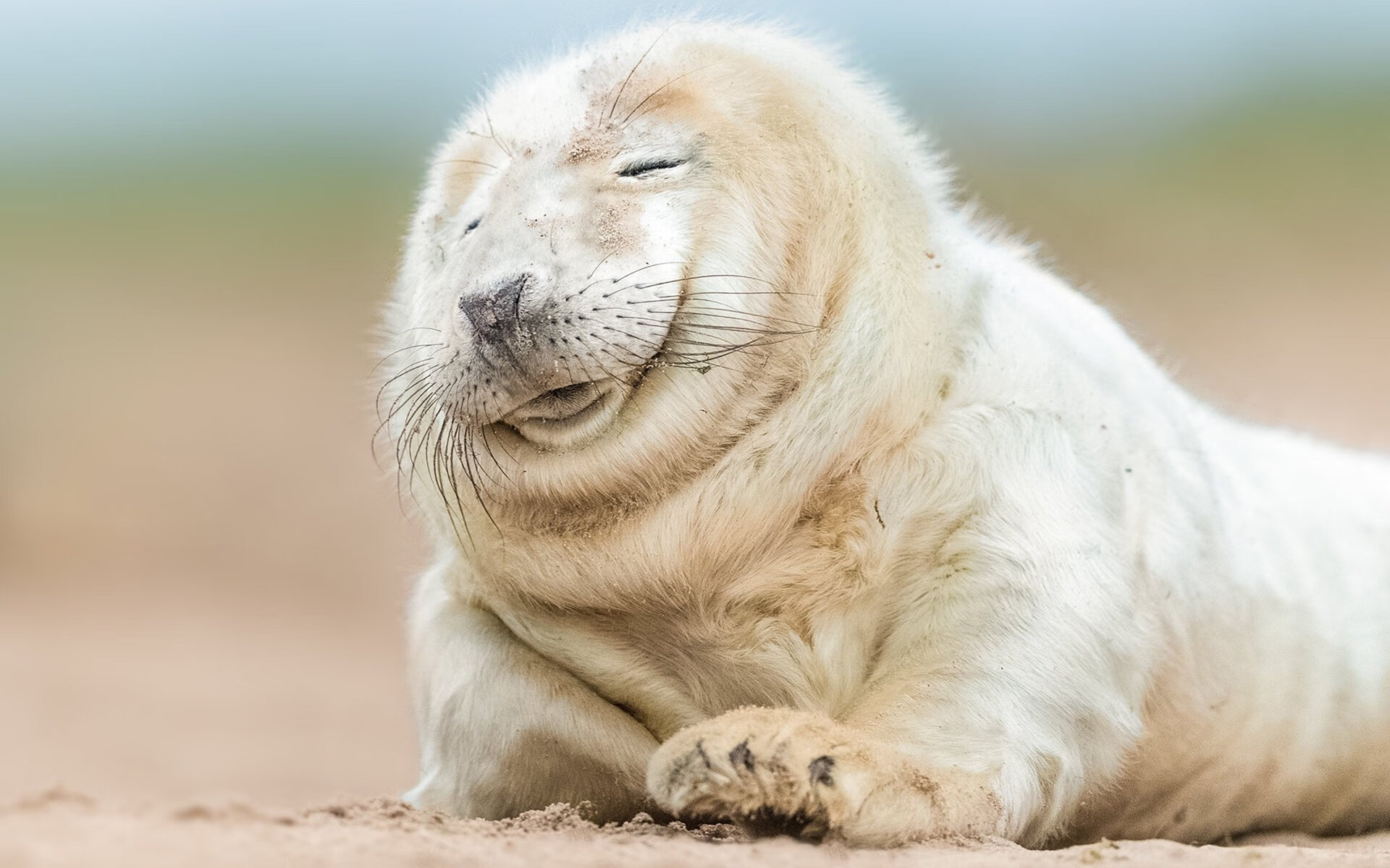 开云APP-文班亚马诠释攻防转换核心价值，骑士稳稳战术给新疆队上了一课