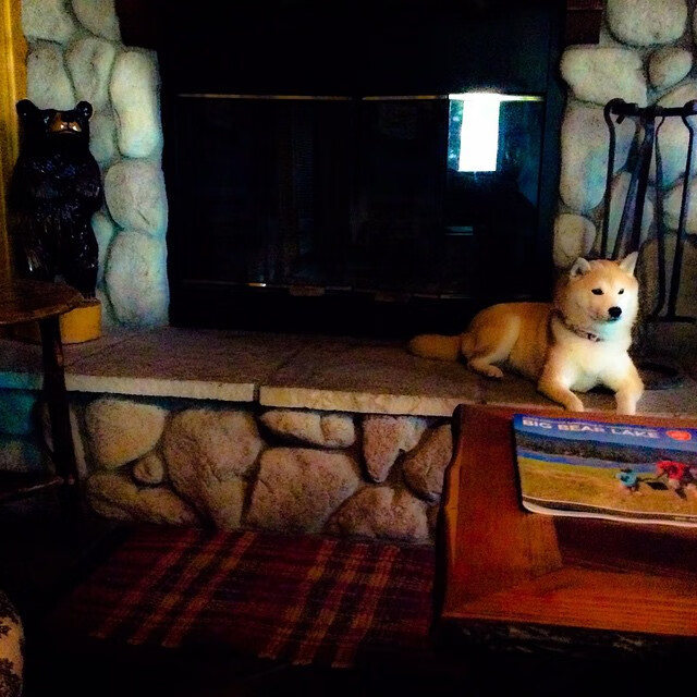 开云官网-掘金横扫尼克斯，布伦森关键先生引领胜利