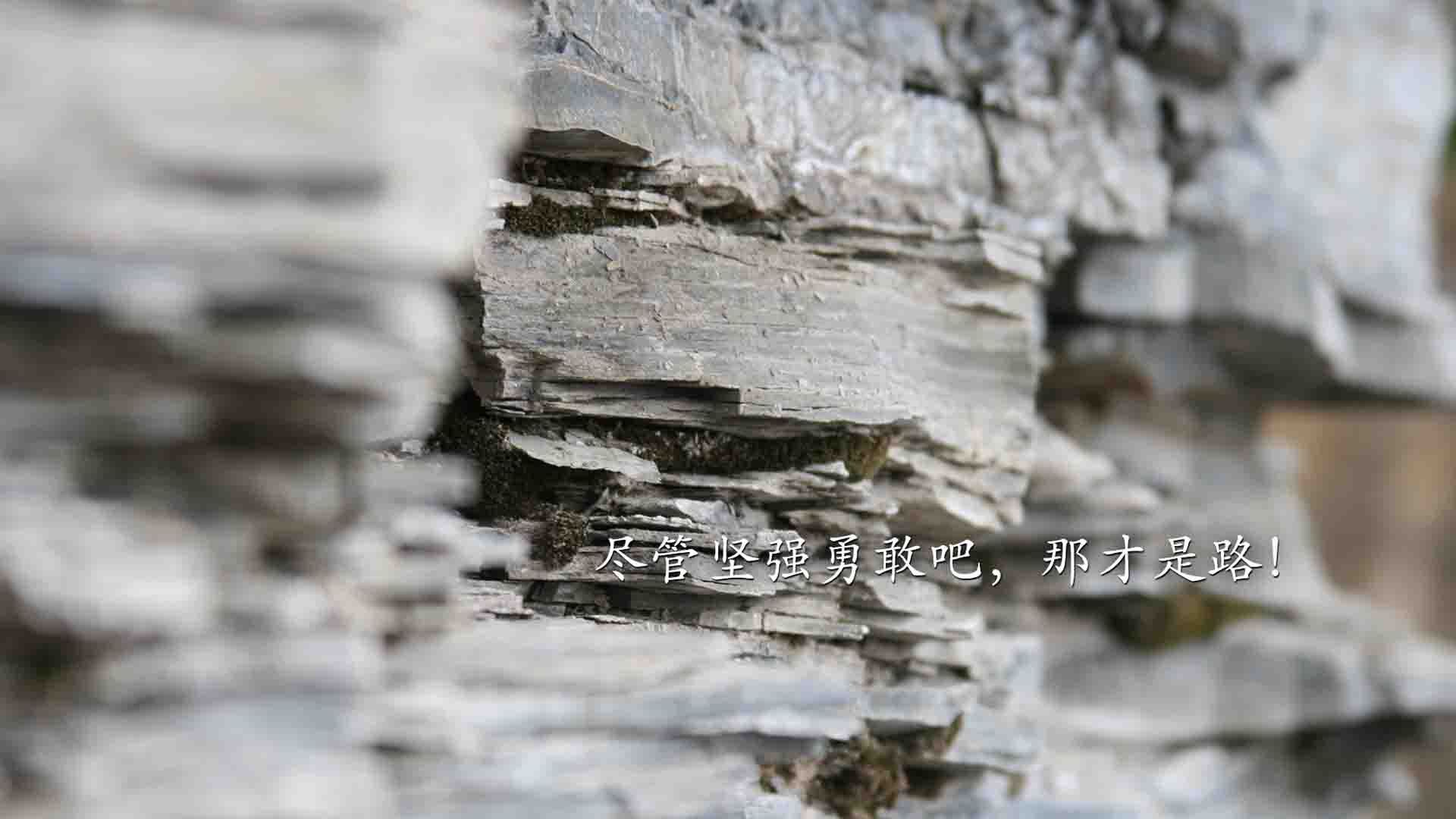 开云平台-卡马文加爆发引领战局，皇马卡塔尔加时赛逆转胜贝蒂斯