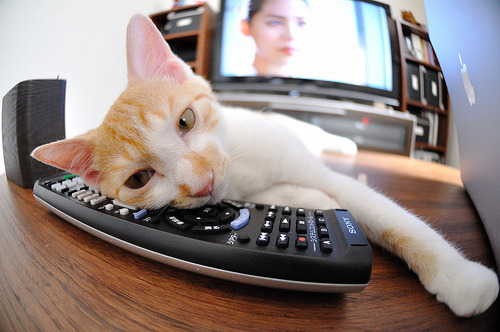 足球的两种奇迹，从团队的轰然倒戈，到英雄的孤身裁决